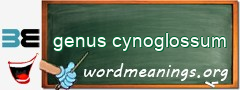 WordMeaning blackboard for genus cynoglossum